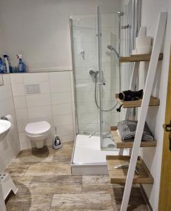 een badkamer met douche en toilet bij Ferienhaus Rhönblick in Bischofsheim an der Rhön +12 foto's