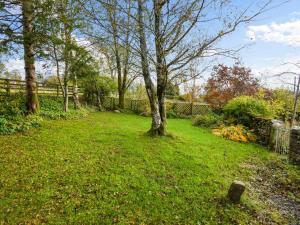 een tuin met een boom in het gras bij Low Lane Cottage in Crosby Garrett +12 foto's