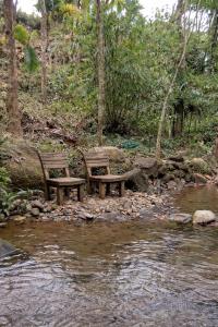 Phong cảnh thiên nhiên gần nhà nghỉ dưỡng