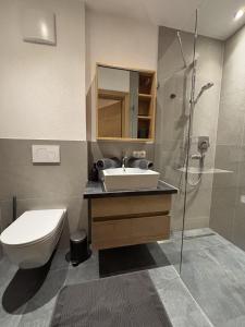 a bathroom with a sink and a toilet and a shower at Apartment Bichlhof in Brixen im Thale