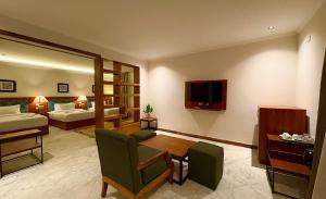 TV a/nebo společenská místnost v ubytování Kemet Boutique Hotel