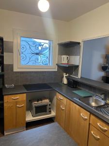 Køkken eller tekøkken på Halte Centre Orléans Proche Gare I Collection IQ