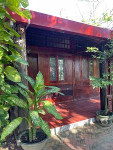 ein Haus mit einer Pflanze davor in der Unterkunft Nhà Sen Phước Hải in Hội Mỹ