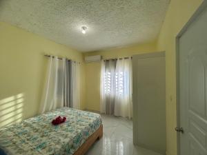 a bedroom with a bed and a window at Apartamentos-Oliver in Las Galeras