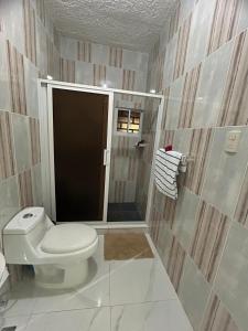 une salle de bain avec WC et douche à l'italienne dans l'établissement Apartamentos-Oliver, à Las Galeras