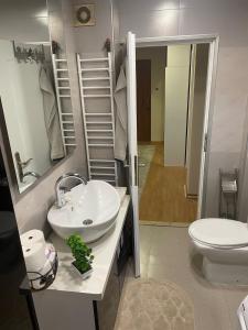 een badkamer met een wastafel, een toilet en een spiegel bij Panorama Bulevar Delta Planet, free parking in Niš +9 foto's