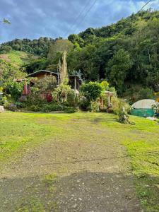 Příroda nedaleko luxury tent