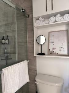 ein Bad mit einer Dusche, einem WC und einem Spiegel in der Unterkunft MC'S nB in Saint-Sauveur-des-Monts