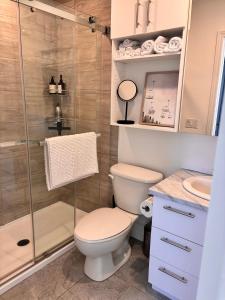 ein Badezimmer mit Toilette und Dusche in der Unterkunft MC'S nB in Saint-Sauveur-des-Monts + 17 Fotos