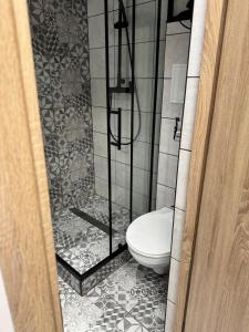 a bathroom with a toilet and a shower at Cozy Center Apartment in Jelgava