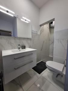 Un baño blanco con lavabo e inodoro. en Prenočišča Dany APARTMA 2, en Dravograd