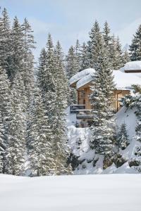 a log cabin in the woods with snow covered trees at Appartement Omesberg 1 in Lech am Arlberg