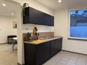 Køkken eller tekøkken på Suite Luxueuse avec jaccuzi sans vis-à-vis