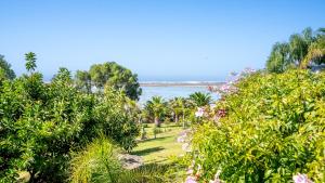 Phong cảnh thiên nhiên gần nhà khách +163 ảnh