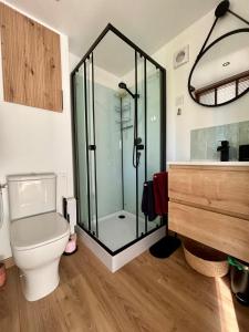 ein Badezimmer mit Glasdusche und Toilette in der Unterkunft Studio tout confort dans la campagne aixoise in Le Puy-Sainte-Réparade