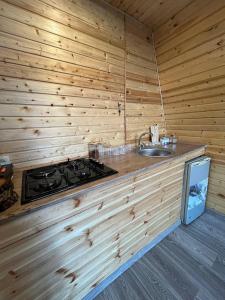 a kitchen with a stove and a sink in a wooden wall at Green Garden 