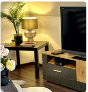 TV a/nebo společenská místnost v ubytování Heviz Holiday House