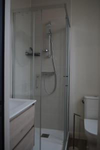 een douche met een glazen deur naast een toilet bij Résidence Saint Pôl in Nogent-le-Rotrou