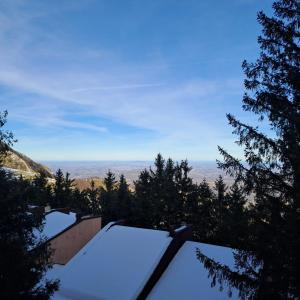 een uitzicht op het met sneeuw bedekte dak van een huis bij Chalet Vista Mare in Sassonetto +36 foto's