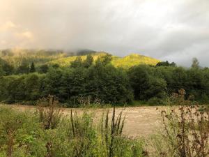 a field with trees and a mountain in the background at Котедж GW in Guta