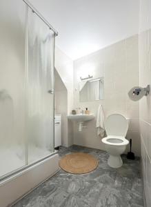 a bathroom with a toilet and a sink and a shower at Penzion Habrovická Bašta in Ústí nad Labem +18 photos