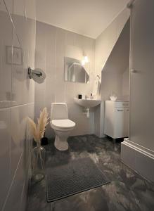 Un baño pequeño con inodoro y lavabo. en Penzion Habrovická Bašta, en Ústí nad Labem 18 fotos más