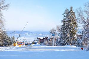 Villa Letizia w Sauna near Pirin Golf Resort om vinteren