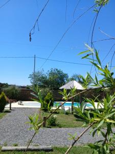 un resort con piscina e ombrellone di Cabañas Punta Arena a San Pedro