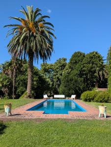 a swimming pool in a yard with a palm tree at La Cuadra - Puesto de Campo Argentino in Lobos