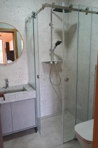 a bathroom with a shower with a sink and a toilet at Тхаті in Yablunytsya