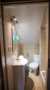 a bathroom with a sink and a toilet at Kocurzonka Apartamenty in Jaworzynka +59 photos