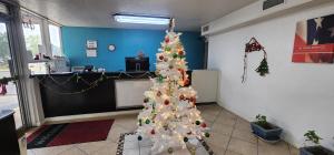 Fotografie z fotogalerie ubytování Trade Wind Motel Jacksonville TX US 69 v destinaci Dickenson Bay + 20 fotografií