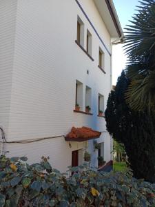 a white building with a plant in front of it at Habitación in Oiartzun