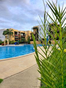 Una vista de una piscina en un resort. en Apartamento Privado de 2 o 3 habitaciones en Condominio Campestre, en La Tebaida 199 fotos más