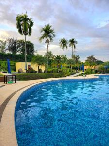 Una gran piscina azul con palmeras al fondo. en Apartamento Privado de 2 o 3 habitaciones en Condominio Campestre, en La Tebaida