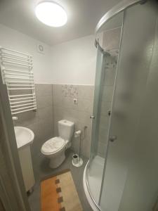 een kleine badkamer met toilet en douche bij Kapacówka in Zakopane +42 foto's