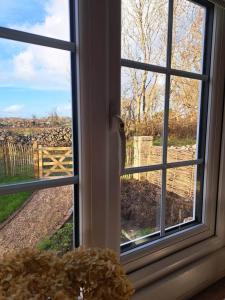 a window with a view of a field through it at Shepherds Hut Galway in Galway