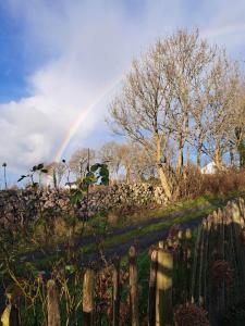 a rainbow in the sky over a field with a fence at Shepherds Hut Galway in Galway +23 photos