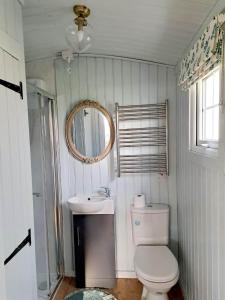 een badkamer met een toilet, een wastafel en een spiegel bij Shepherds Hut Galway in Galway +24 foto's