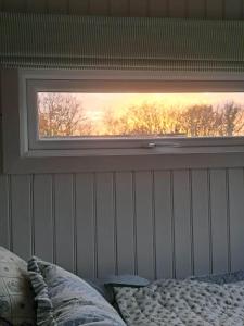 een raam in een slaapkamer met uitzicht op de bomen bij Shepherds Hut Galway in Galway