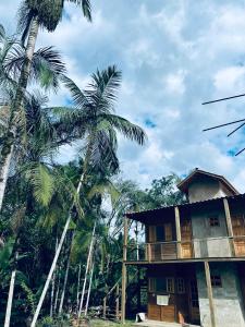 een gebouw met palmbomen ervoor bij Morada do Sol Petar in Iporanga