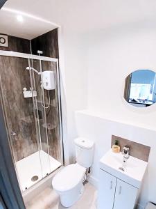 un bagno con doccia, WC e lavandino di Flat 1 - Eign St Hereford a Hereford