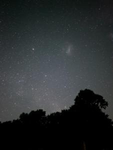 een sterrennacht met een boom op de voorgrond bij La Cuadra - Puesto de Campo Argentino in Lobos
