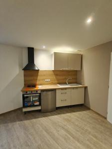 eine leere Küche mit Spüle und Herd in der Unterkunft Studio de charme in Mondragon