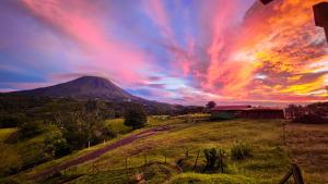 Příroda nedaleko hostelu