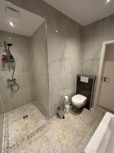 a bathroom with a shower and a toilet and a sink at Cologne 20 min Tram 1 min, Top City Apartment in Niederdorla