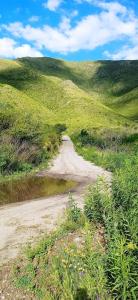 Naturlandskabet i nærheden af feriehuset