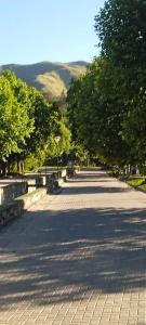 Naturlandskabet i nærheden af feriehuset + 4 billeder