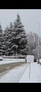 Chalet Haut standing pour les familles seulement v zimě