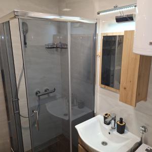 a bathroom with a shower and a sink at Brvnara Gorska Dama in Sekulić  +32 photos